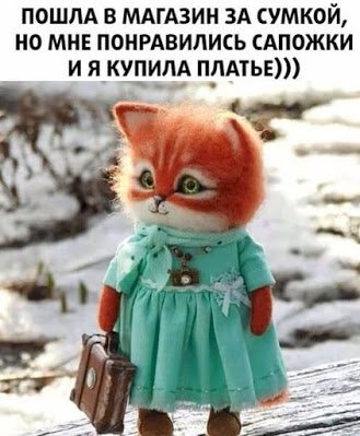 picture_285899731
