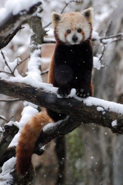 SKtTfZQU8BU