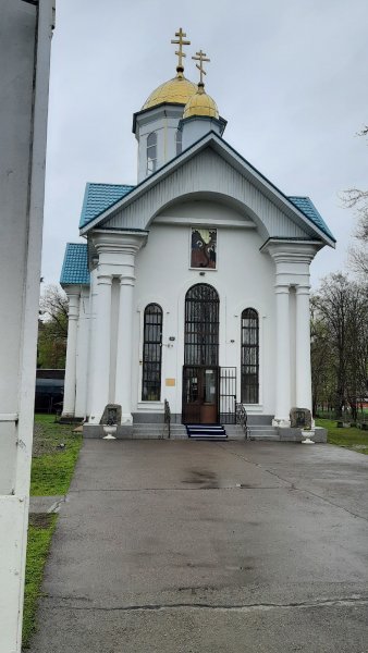 picture_317386993
