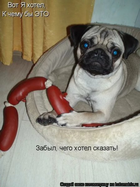 Забыл