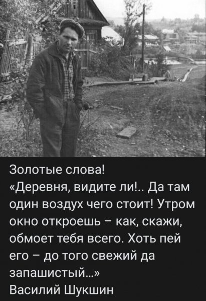 В. М. Шукшин