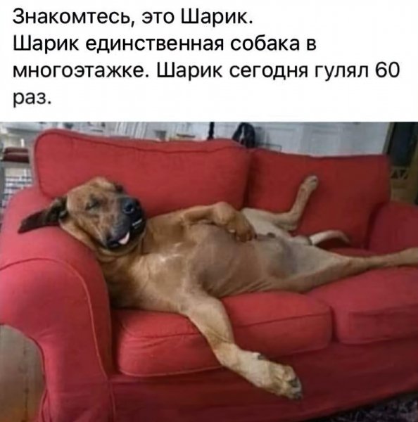 60 раз