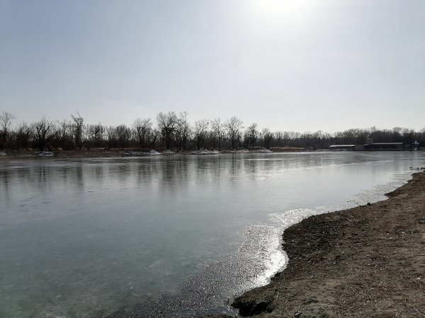 IMG 20250212 140958