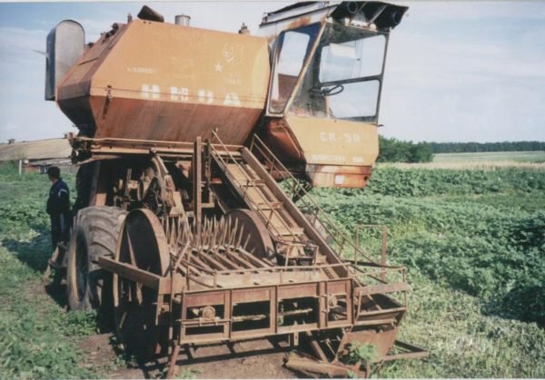 tikva-sk-5