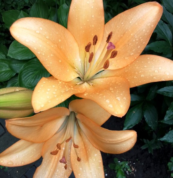 IMG 20230628 120317