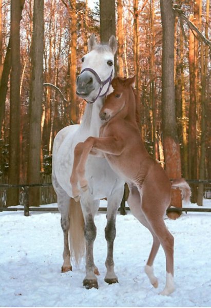 image (3) - 2020-10-04T022008.844