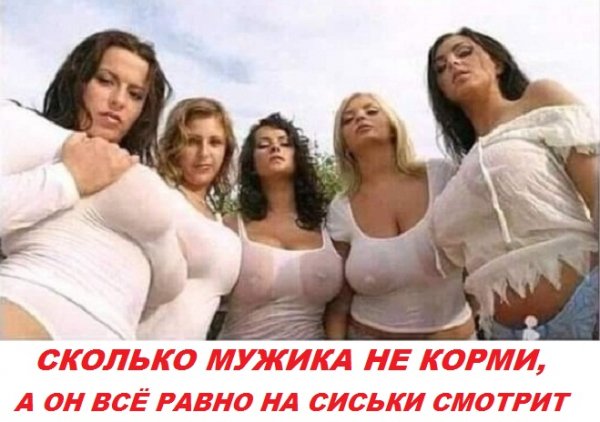 x500