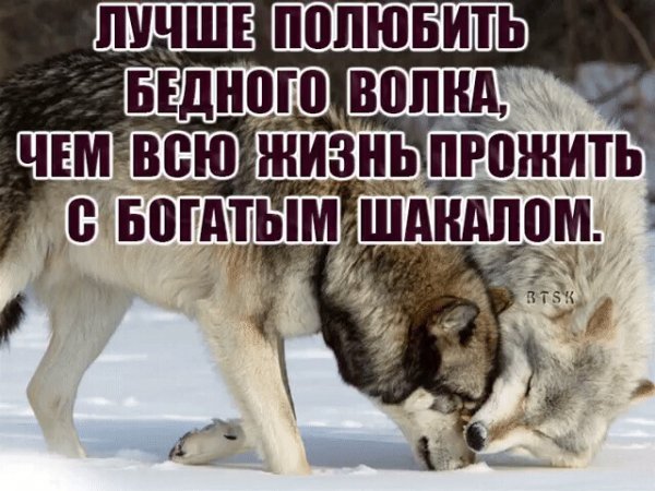 IMG 20200602 035341