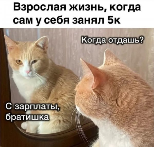 E9abab5e35 zadornyj-jumor-v-kartinkah-i-memah-51