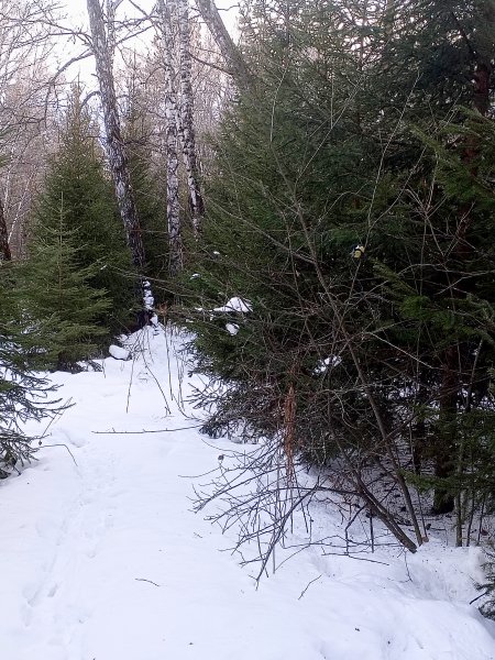 picture_380010296
