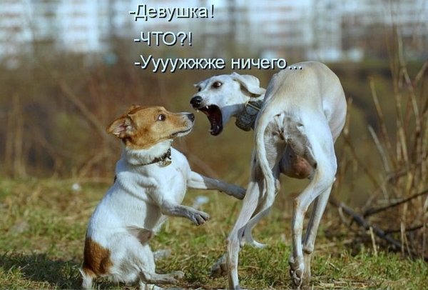 PyLMZC7RKgI