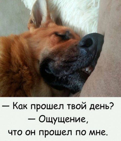 Прошел по мне
