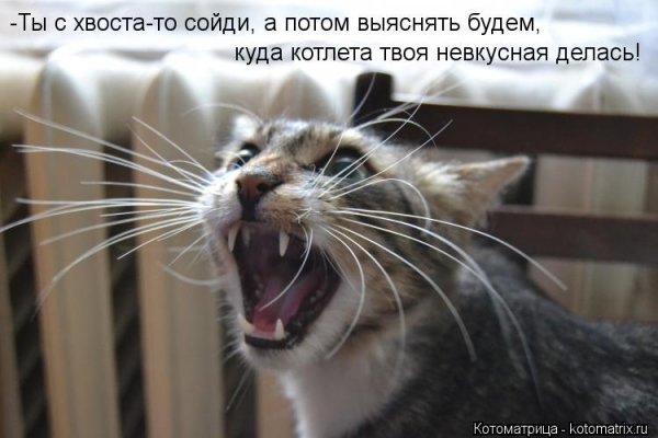 Да! ))