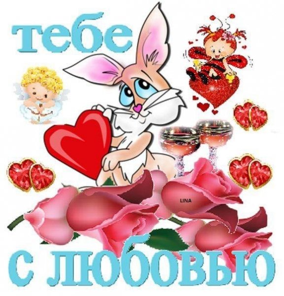 jDLgTt3olyY