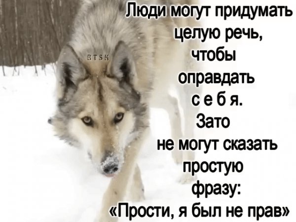 IMG 20200605 132459
