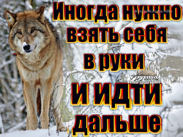 IMG 20200602 035648