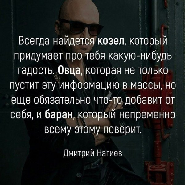 Стадо