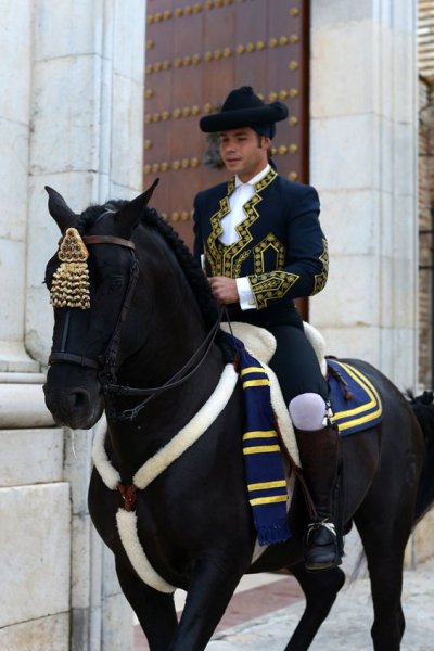 Andalusians horses love