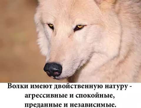 1d62ea25e266d79ba8f3d21505fde184