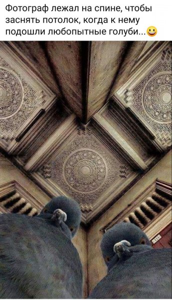 IMG 20211227 194031