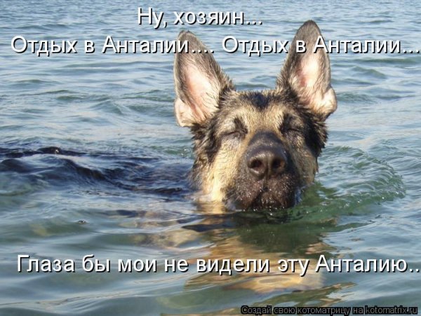 Ну, хозяин...