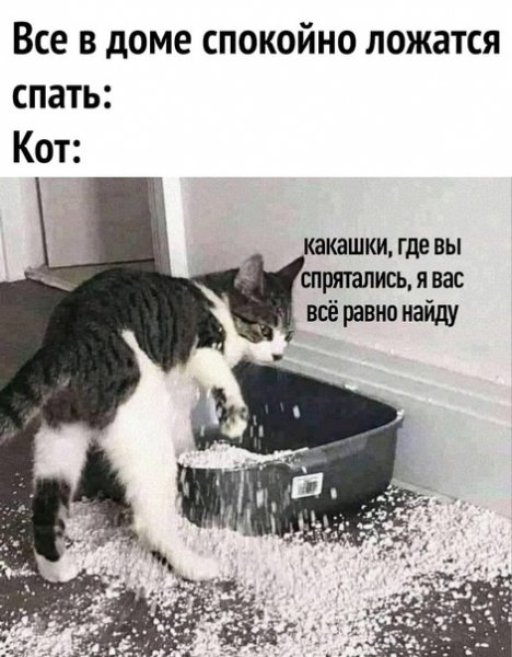 Опаньки!