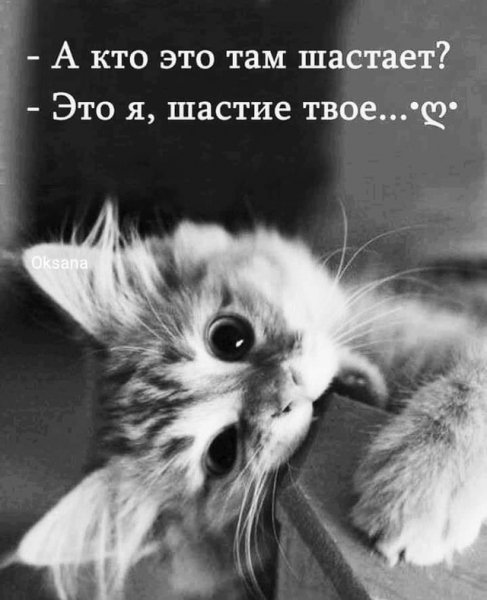 Dgnp0gEK88hF4w39F8UdHtmnFcyN9TY0cU5 a4Cc4BfwdC