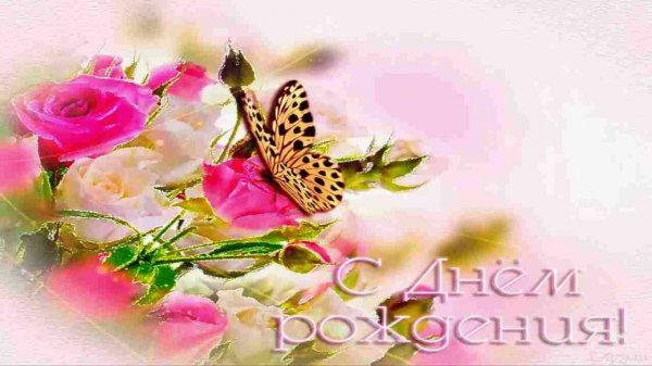 IMG WA008