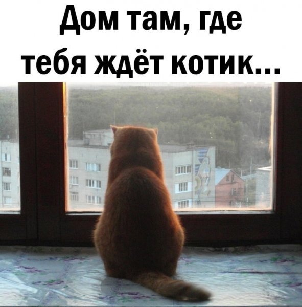 Верно!