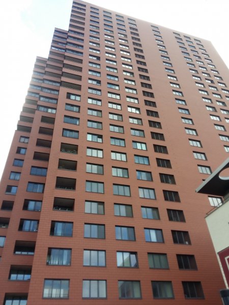picture_304685221