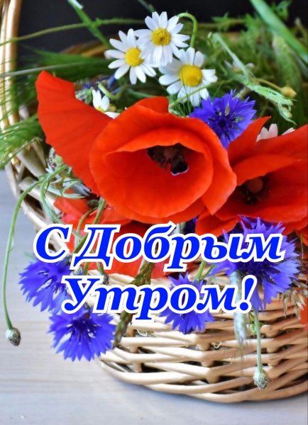 Друзья!