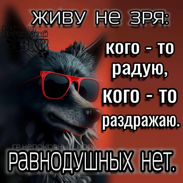 IMG 20260114 032734