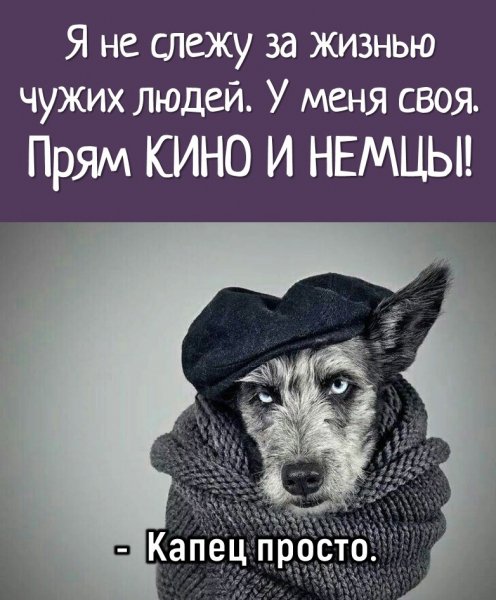 Кино и немцы!