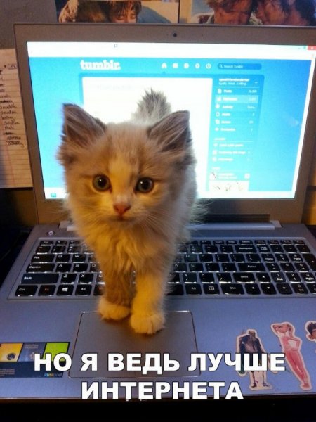 Я ведь лучше