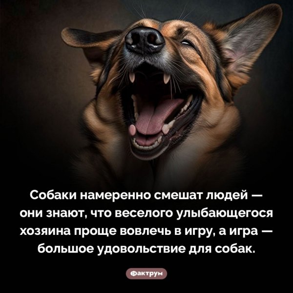 Интересный факт