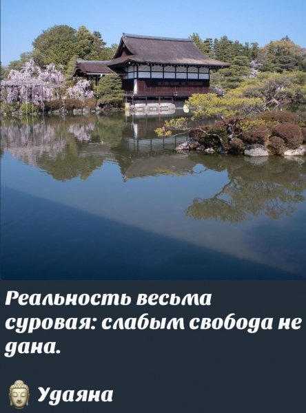 IMG 20250715 132617