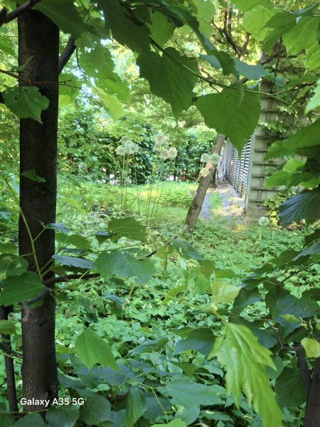 picture_390525724