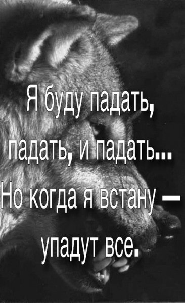 IMG 20181215 190231