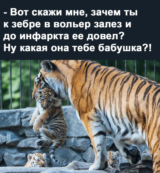 Вот скажи мне...