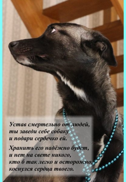 И подари сердечко ей