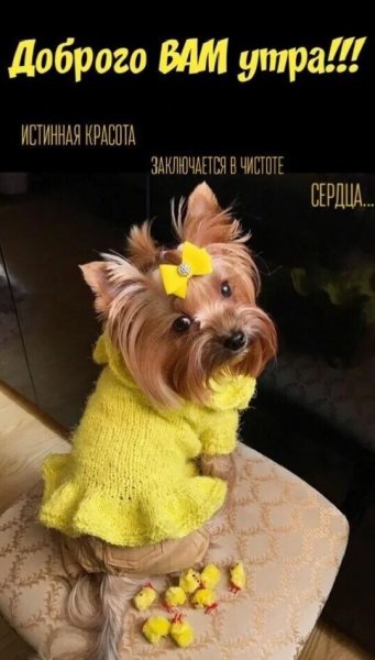 Всем!!!