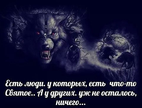 Волки