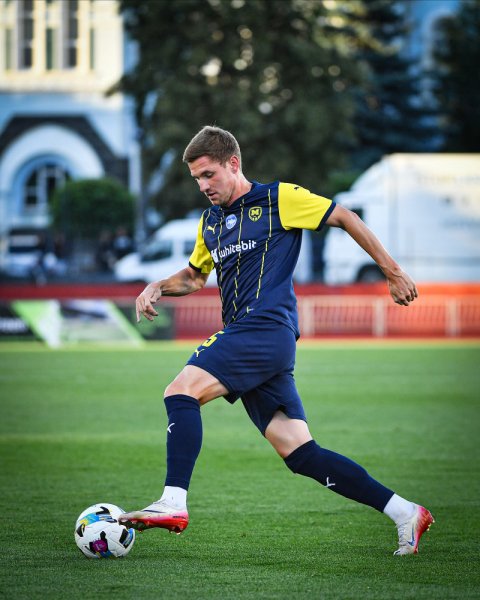Владислав Калитвинцев