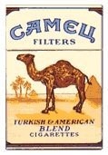 CAMEL