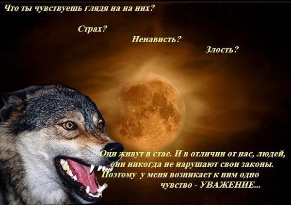 b9910ee3916648c98bd406758941