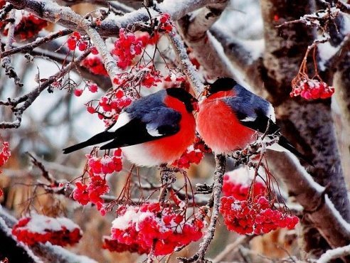 getImage(142)