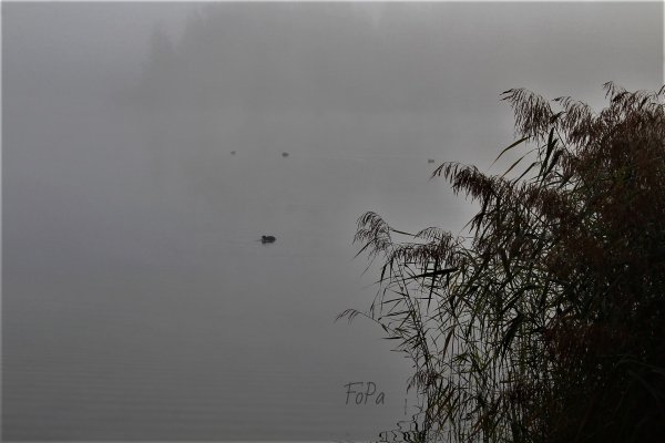 c2cc05098 IMG 6834