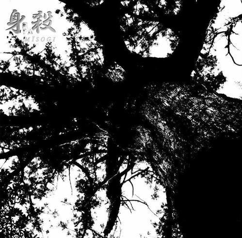 Misogi - Beowulf