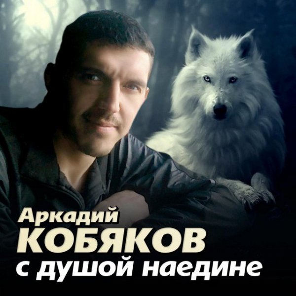Аркадий Кобяков - Скрипач
