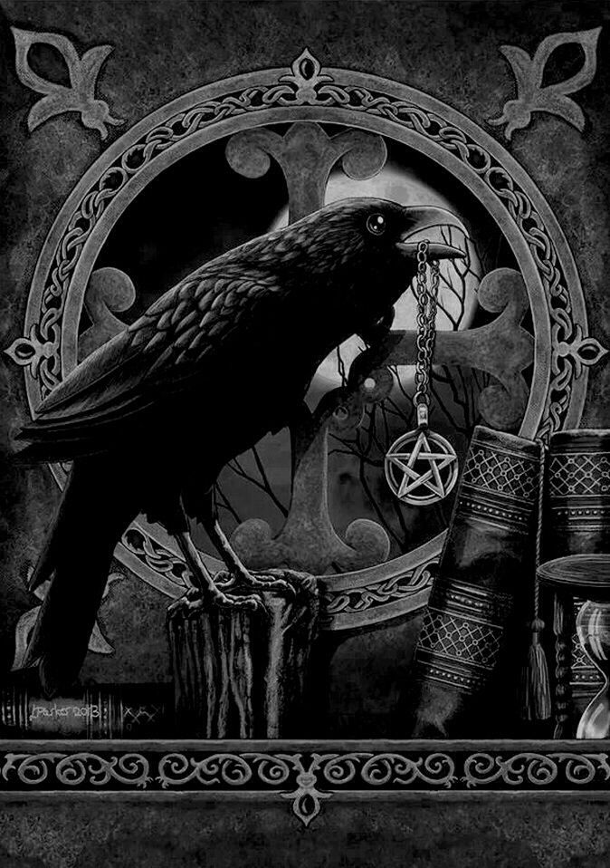 Black Raven (10)